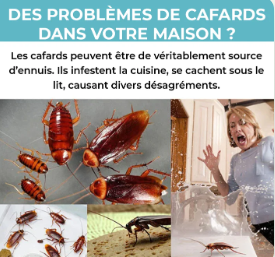 Puissant exterminateur CafardZéro